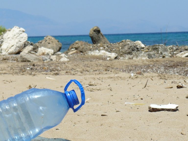 Lee más sobre el artículo ¿AGUA TRANSPORTADA? VAMOS POR AGUA PURIFICADA